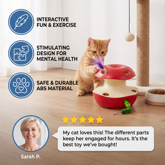 3-in-1 Interactive Cat Toy