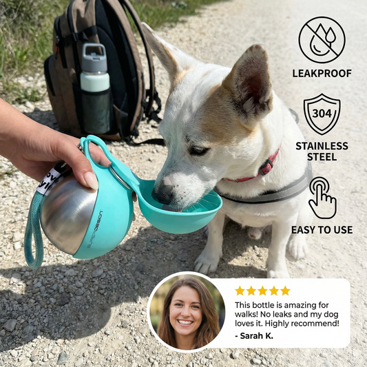 Dog Travel Water Bottle with Silicone Bowl