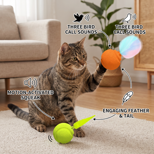 Interactive Cat Balls Set