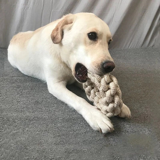 Dog Knot Toy – Fun and Effective Teeth Cleaner