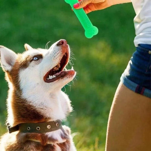 Rubber Bone Toy for Aggressive Chewers