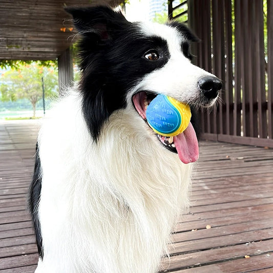 Soft TPR Dog Toy