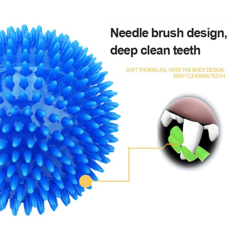 Chewing Toy Spike Balls Accessories