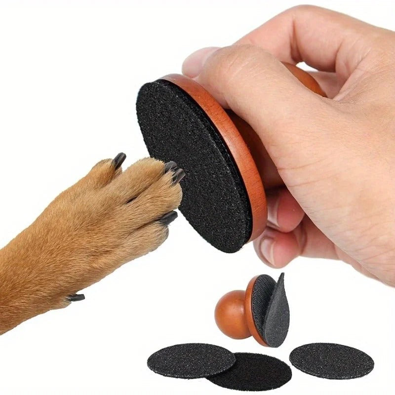 Paw Perfect Scratch & Groom