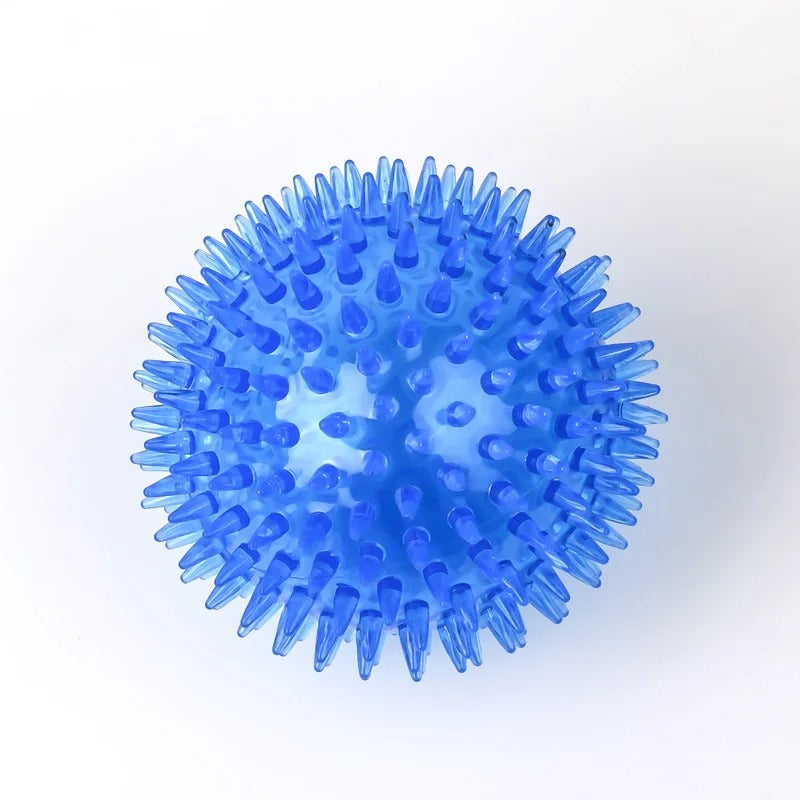 Chewing Toy Spike Balls Accessories