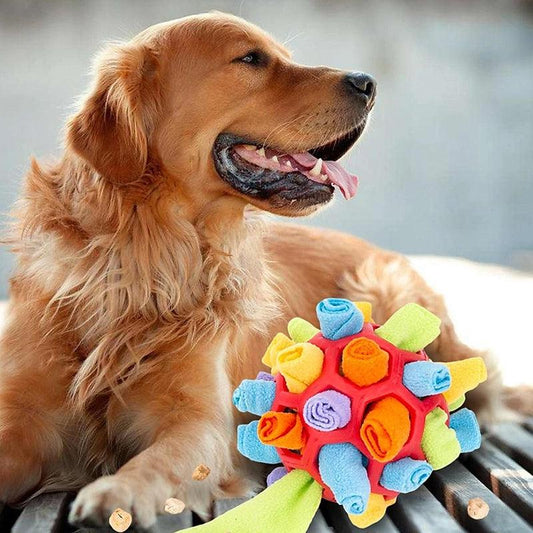 PlayPaw Interactive Pet Toy